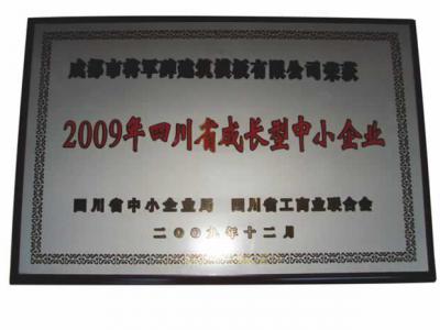 2009年四川省成長型中小企業